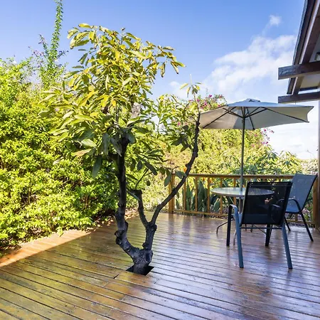 Apartment Home2book Modern Strelitzia, Peace Retreat La Orotava