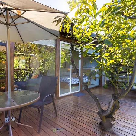 Home2book Modern Strelitzia, Peace Retreat Apartment La Orotava